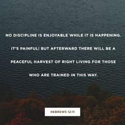 Hebrews 12:11