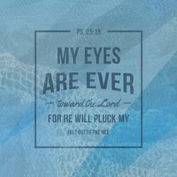 Psalm 25:15
