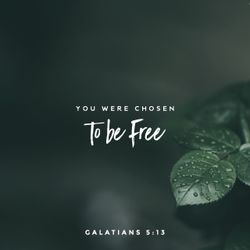 Galatians 5:13
