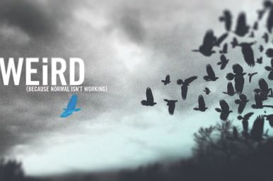 Banner 2