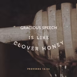 Proverbs 16:24