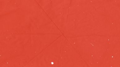 Branches - Background