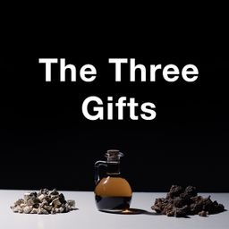 Stock Videography: The Three Gifts