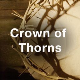 Stock Videography: Crown of Thorns