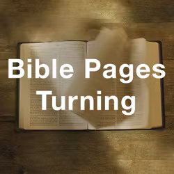 Stock Videography: Bible Pages Turning 