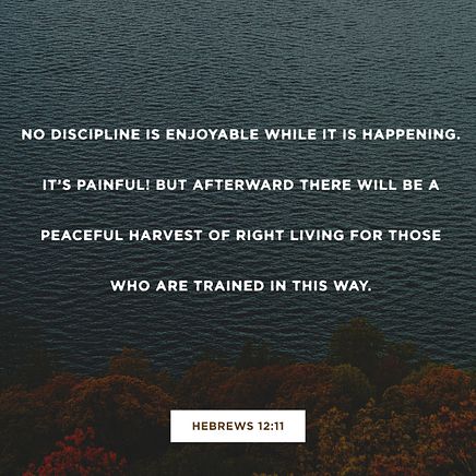 Hebrews 12:11