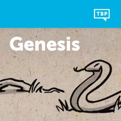 Read Scripture: Genesis