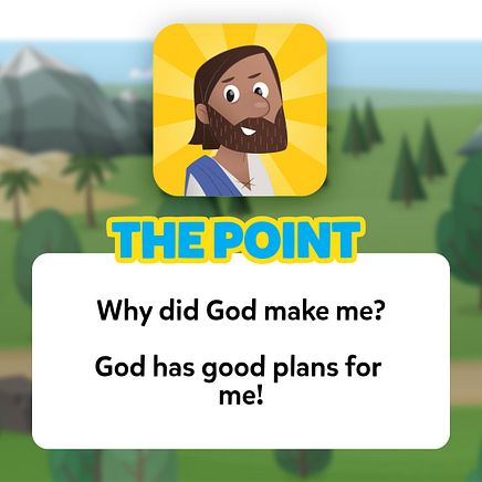 The Point