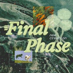Final Phase - Switch