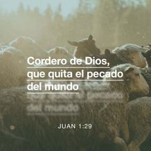 30 de marzo - Plaza