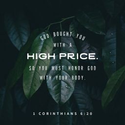 1 Corinthians 6:20