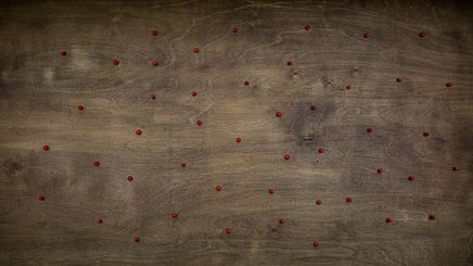 Photo 3 - Point Background