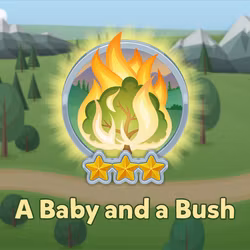 A Baby and a Bush