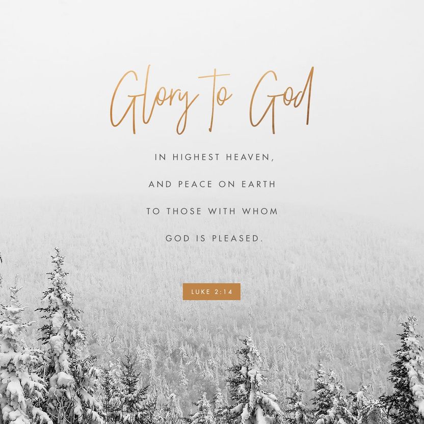 Luke 2:14 - Image 1