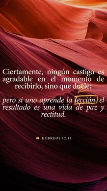 19 de febrero - Vertical