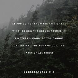Ecclesiastes 11:5