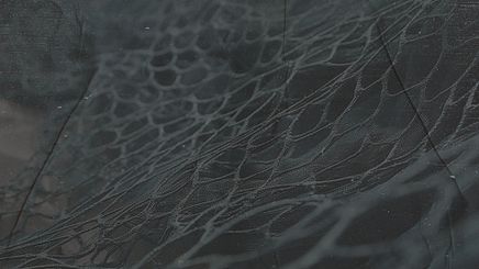 Scenic Image