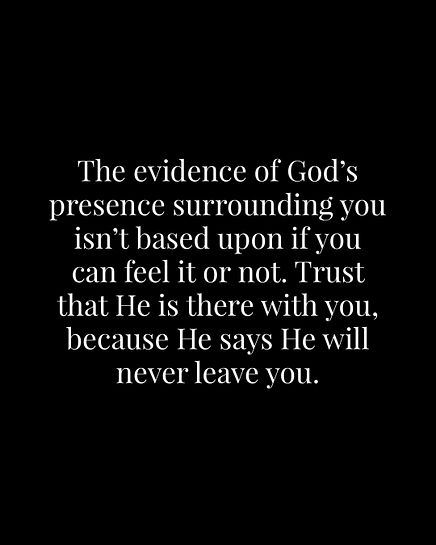 Image 08
