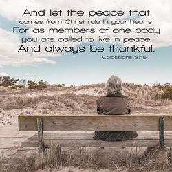 Colossians 3:15
