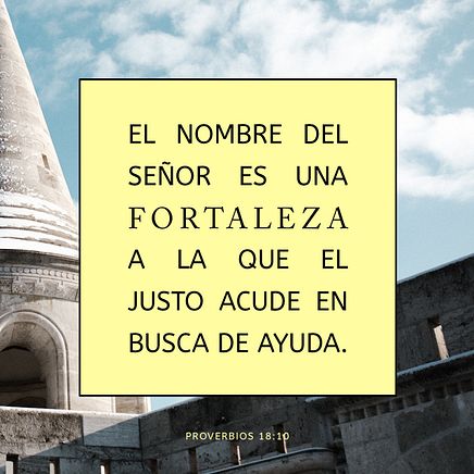 21 de enero - Plaza