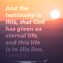 1 John 5:11
