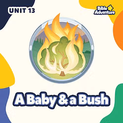 A Baby and a Bush - 2 Year Cycle