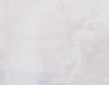 White Background 2 - 3375x2625