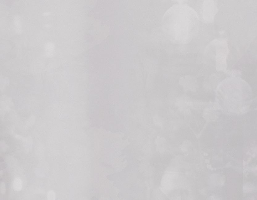 White Background 3 - 3375x2625