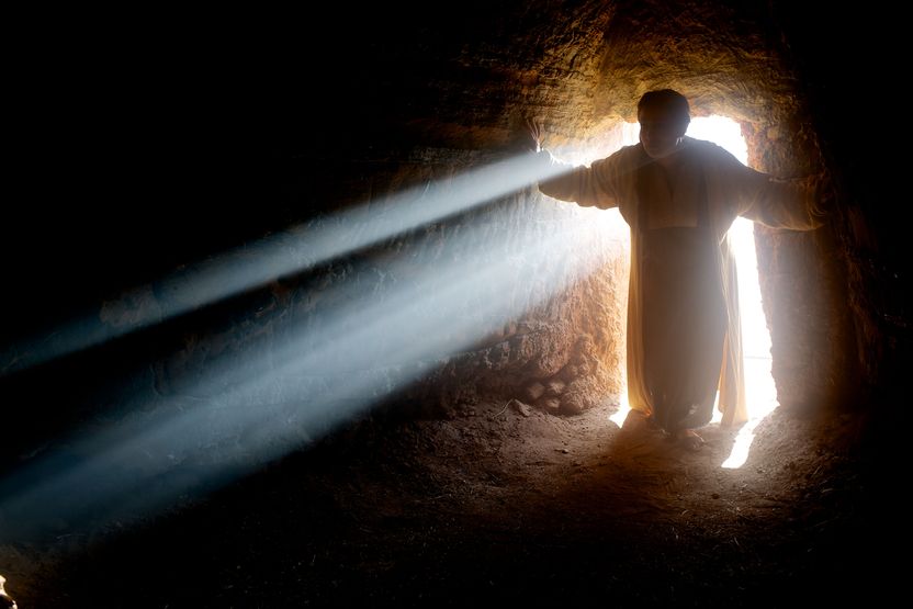 Image 06