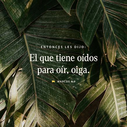 28 de enero - Plaza