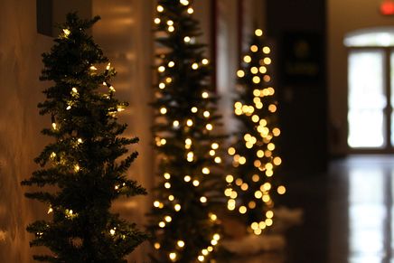 Christmas Tree 5