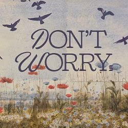 Don't Worry - Switch