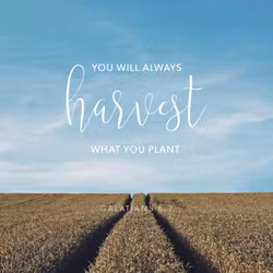 Galatians 6:7