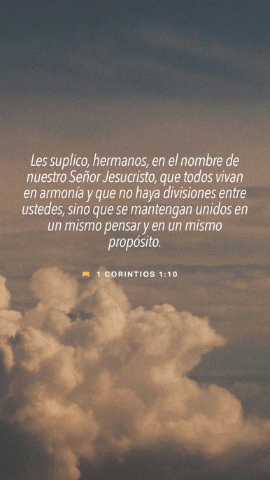 18 de enero - Vertical
