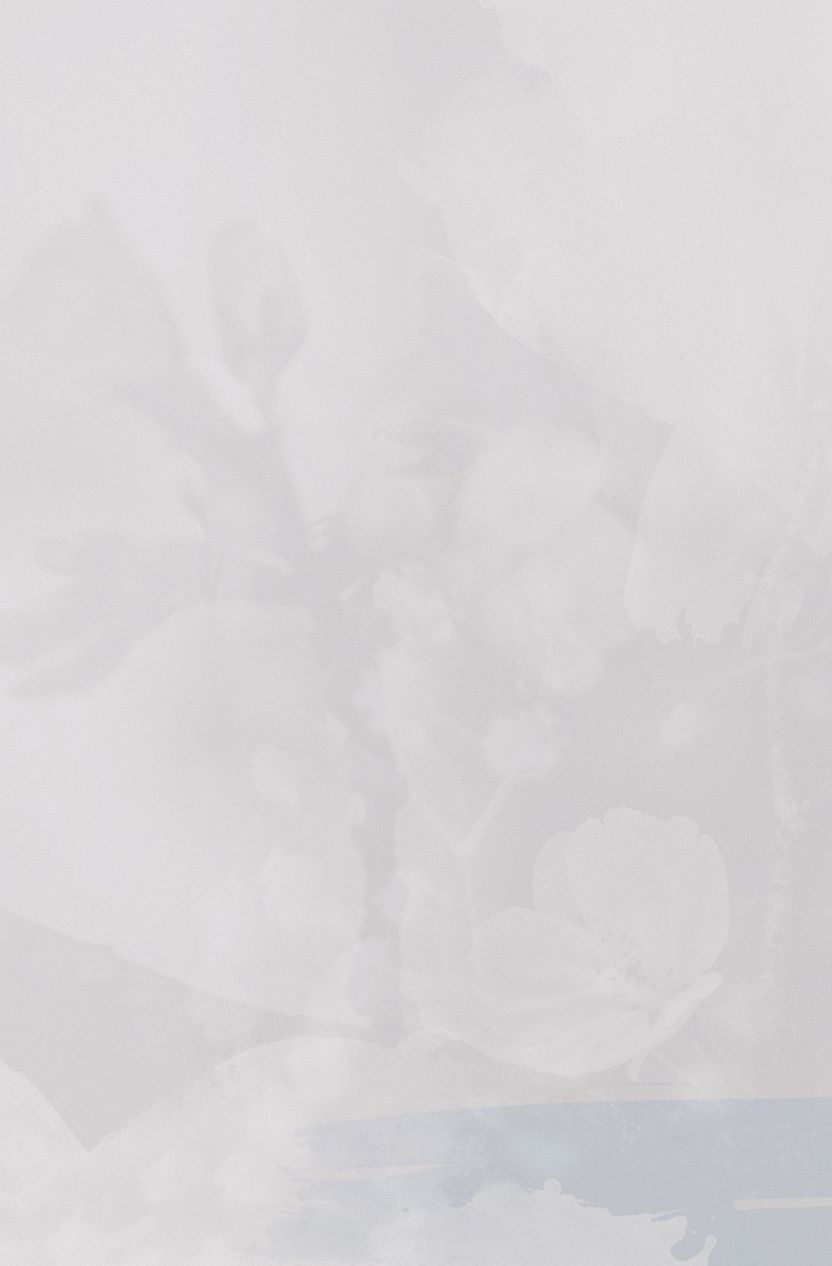 White Background - 1725x2625