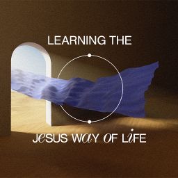 Learning the Jesus Way of Life - Switch