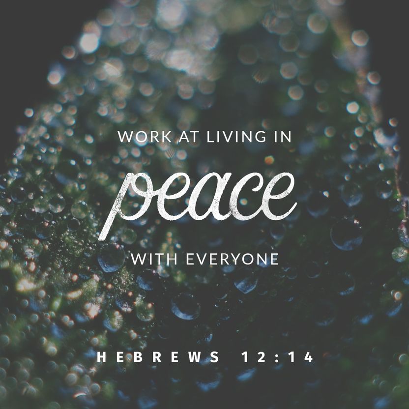 Hebrews 12:14