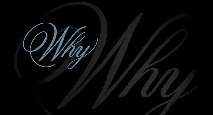 Banner 4