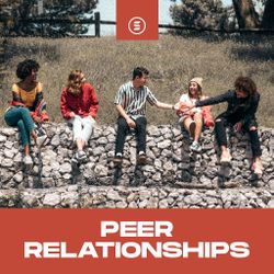 Peer Relationships - Switch 