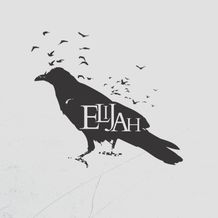 Banner 1