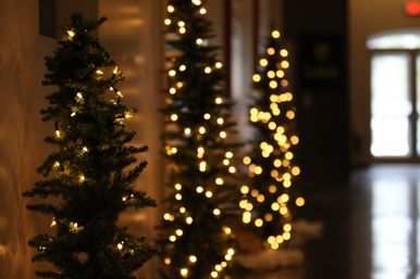 Christmas Tree 5