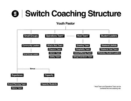 Switch Coaching Structure 