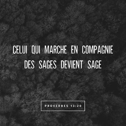 Proverbs 13:20