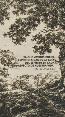 01 de mayo - Vertical