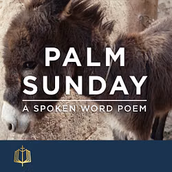 Palm Sunday 