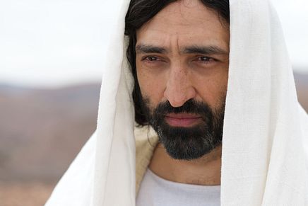 Image 06
