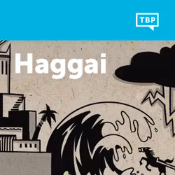 Read Scripture: Haggai