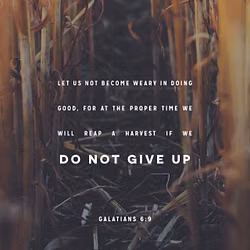 Galatians 6:9