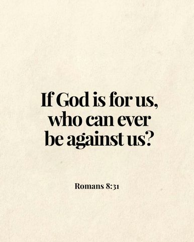 Image 04
