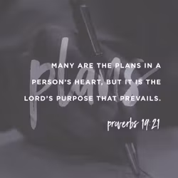 Proverbs 19:21